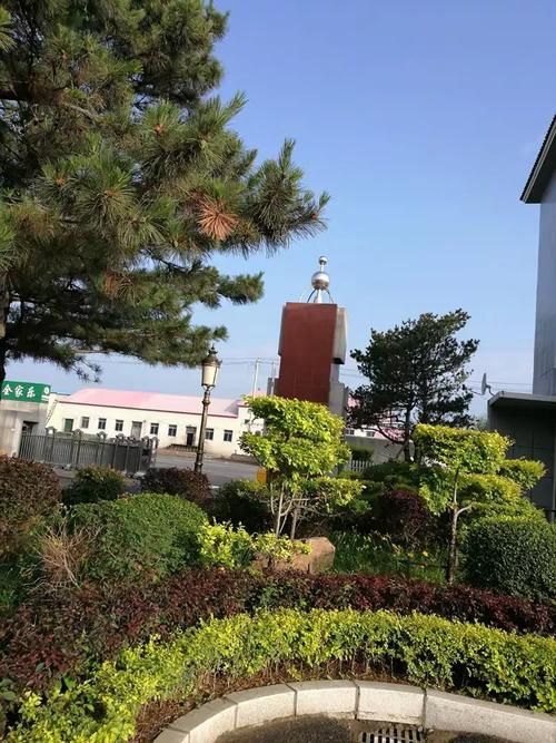 德惠市：松辽平原腹地的防疫坚守与零星破防