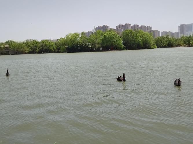 【民勤：绿洲屏障下的疫情防波堤】