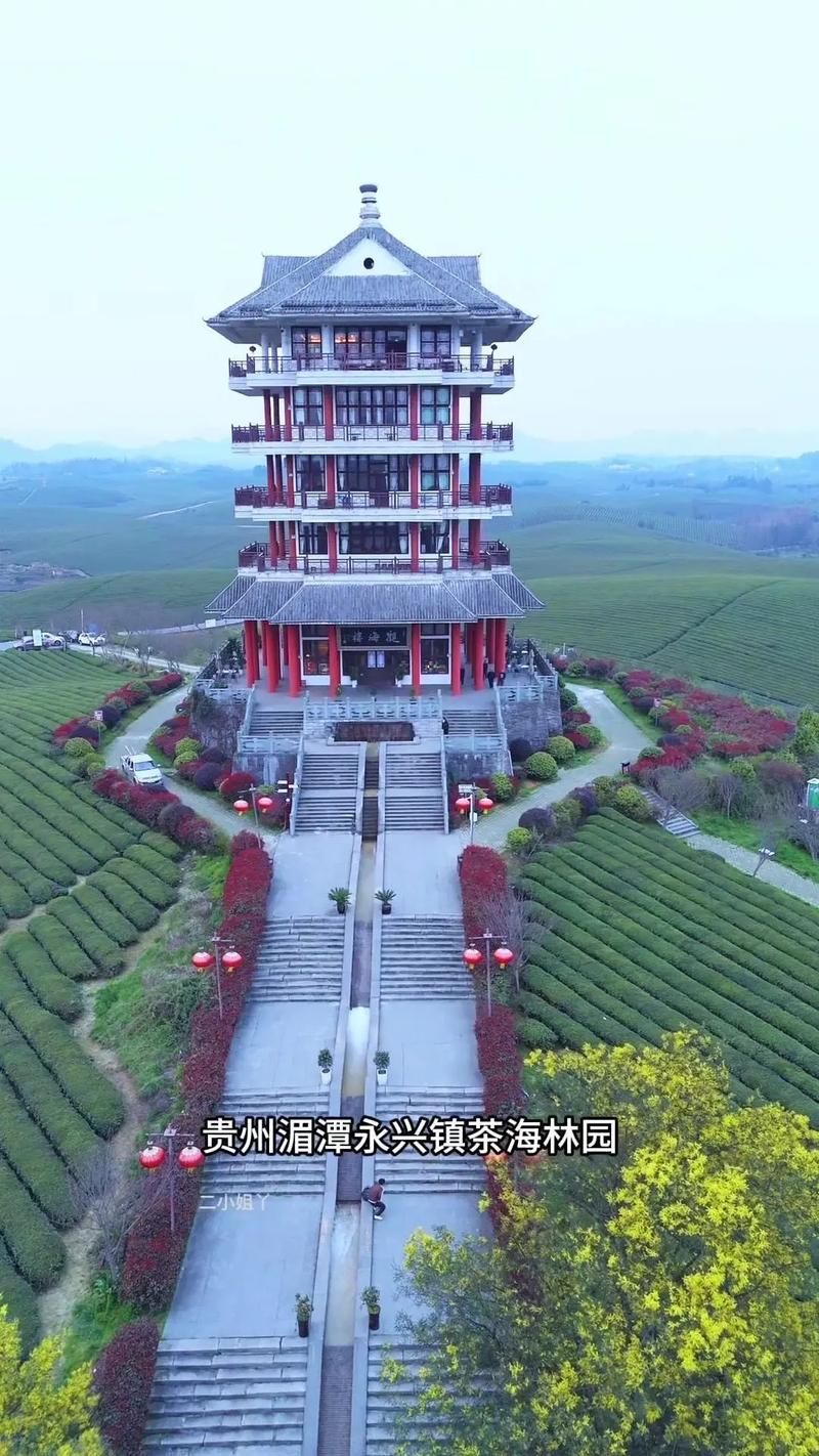 凤冈茶海屏障下的零感染坚守：黔北小城的防疫地理学