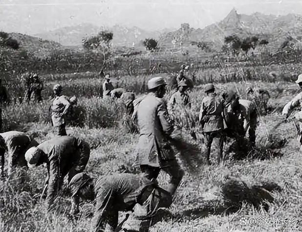 修武：豫北平原上的疫情阻击战