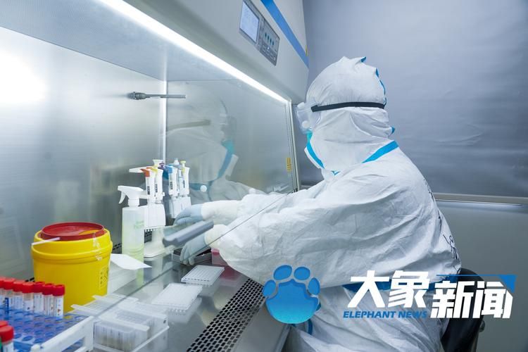 肥西：巢湖西岸的县域防疫样本_47477