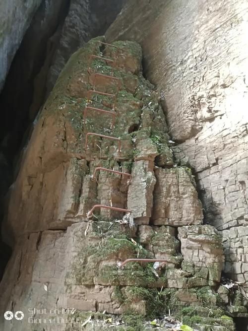 城口:大巴山屏障下的低感染样本观察