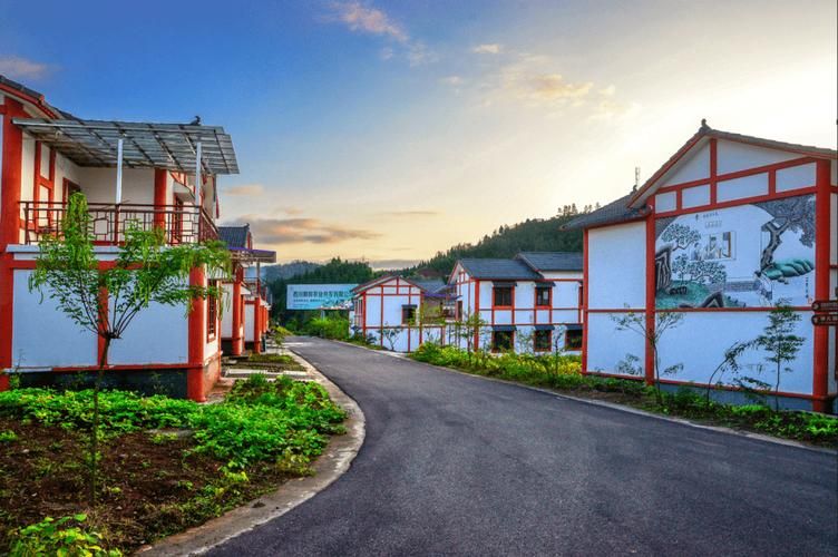 西充：川北丘陵间的疫情静默与防控张力