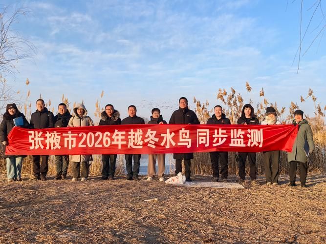 大洼区疫情观察:滨海湿地的防疫屏障与挑战