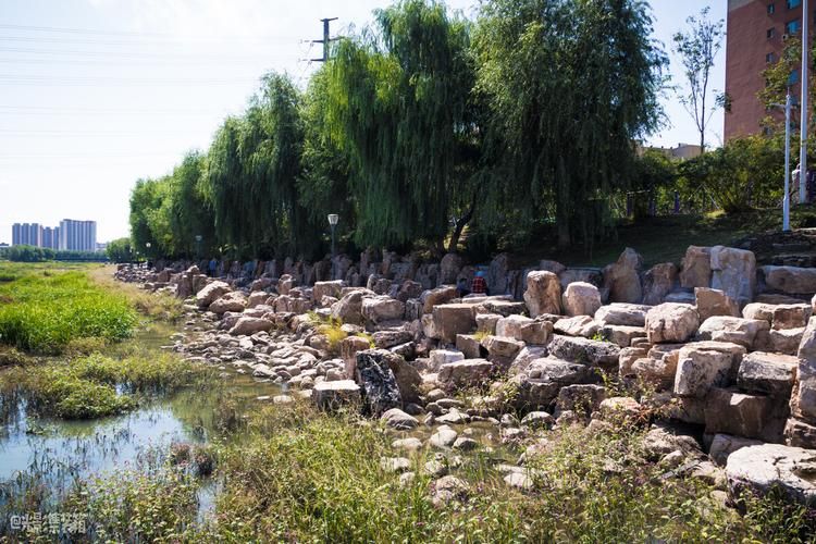 伊通河畔的零感染坚守：地理屏障下的县域防控样本