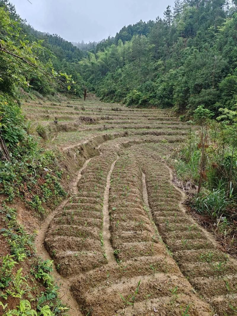 生活百科 第8页