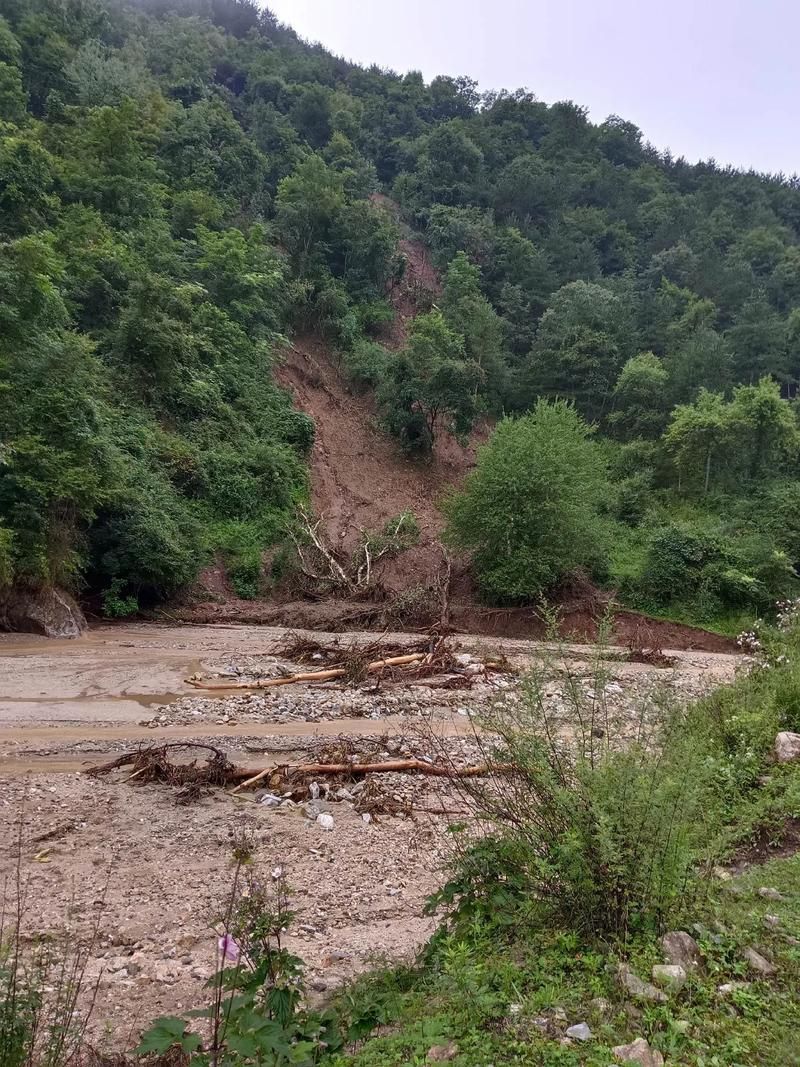 西乡县：秦巴山坳间的零感染坚守与交通枢纽压力测试_8296