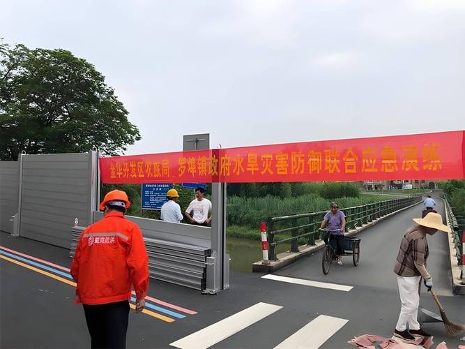 洪湖：水网屏障下的防疫破局与挑战