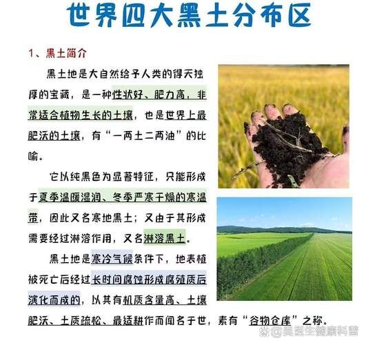 兰西县疫情观察：寒地黑土上的防控逻辑