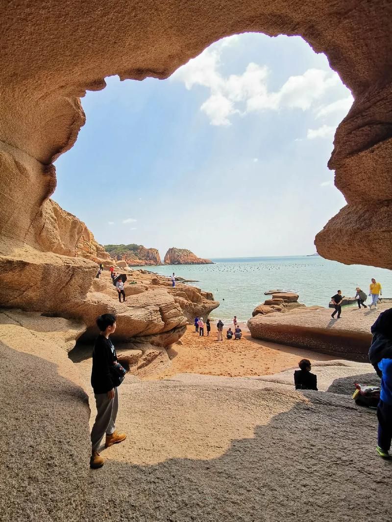 宁德海岸线屏障下的防疫韧性:山海协作如何阻断病毒传播链?