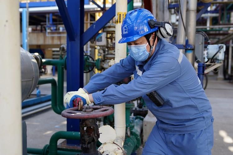 轮台：丝路咽喉的静默防线与零感染坚守