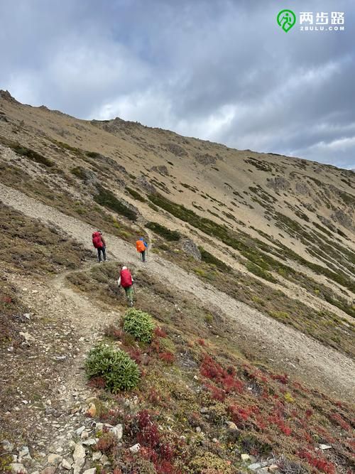 高原门户的防疫坚守：德钦地理屏障下的零感染逻辑_78333