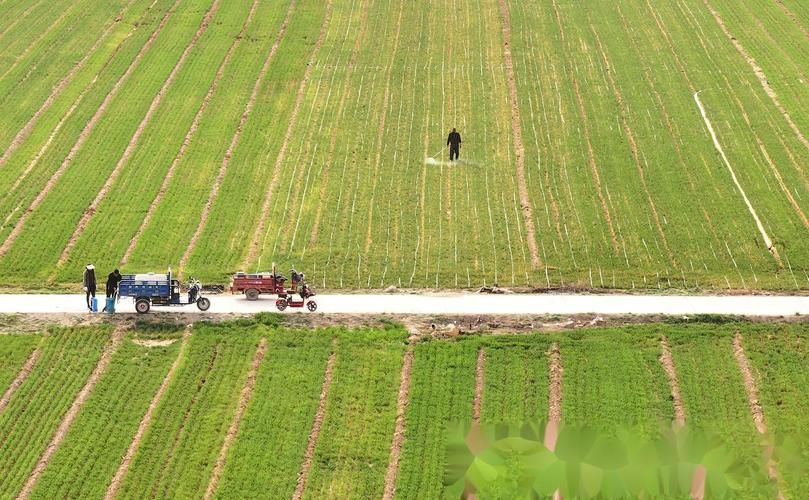 运城：晋南粮仓的疫情防线与交通枢纽压力