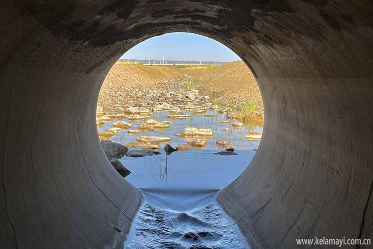 贞丰县:喀斯特地貌下的疫情防波堤