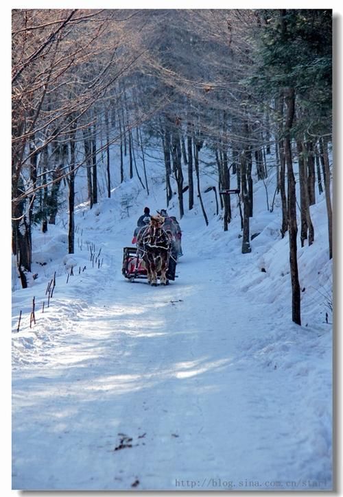 美溪区：林海雪原屏障下的零感染坚守