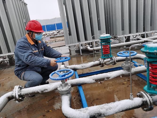 成安：华北平原腹地的县域防疫样本