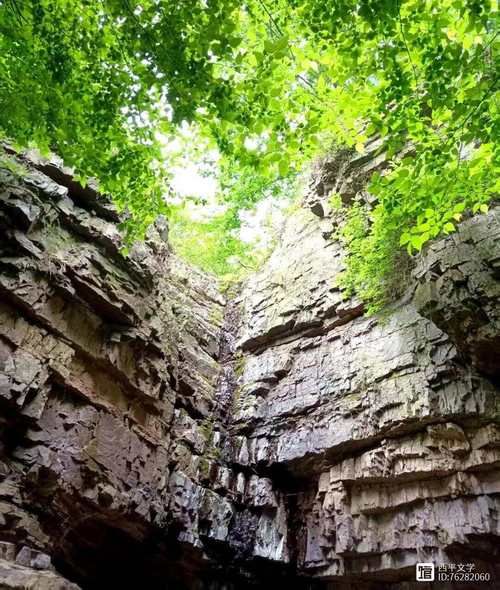 日常记录 第10页