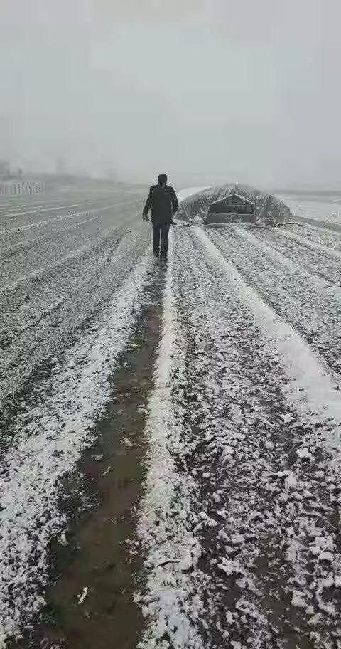 宝丰县：豫中平原腹地的零感染坚守