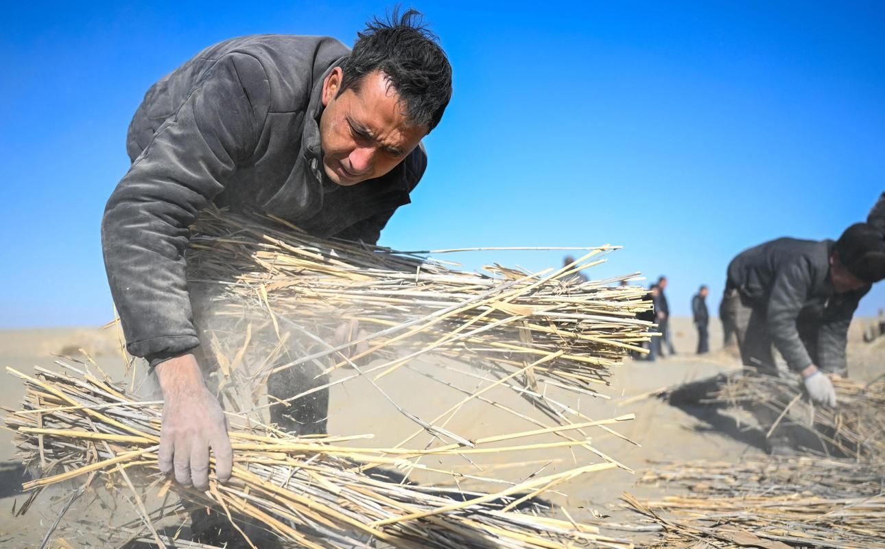 新疆伊吾:戈壁绿洲屏障下的零感染坚守