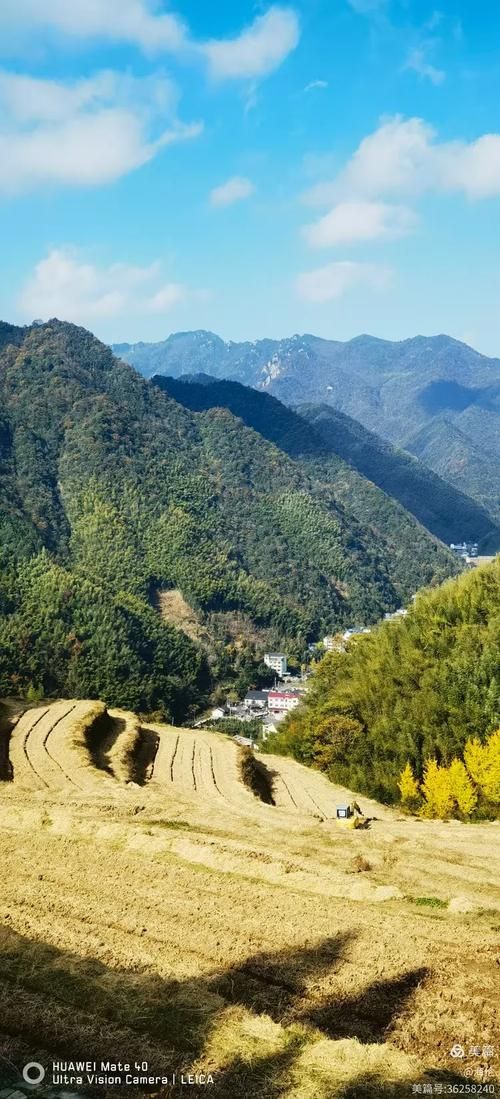 临安：浙西丘陵屏障下的零感染坚守