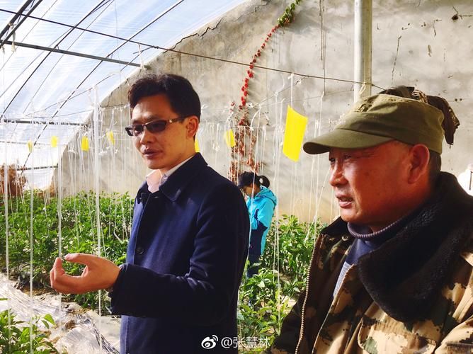 白朗新增1例无症状感染者  白朗县疫情防控最新通报_95582