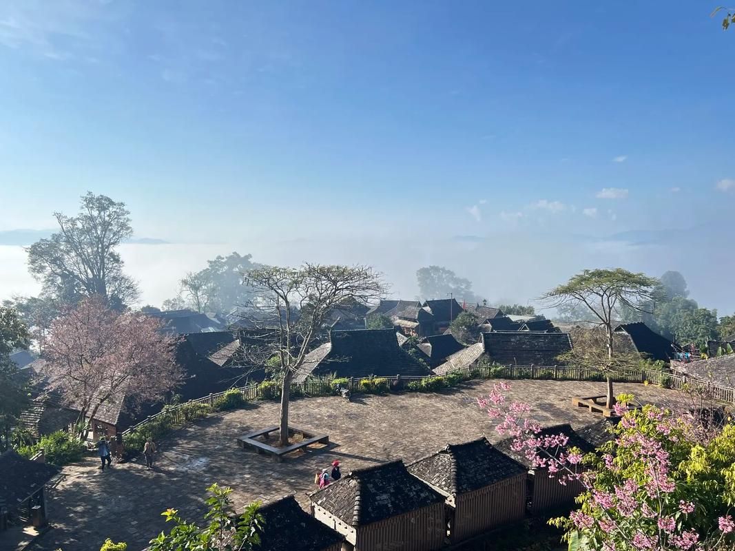 31省新增本土12例(31省新增本土8例)，澜沧拉祜族自治县成焦点