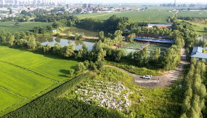 桓台疫情观察：鲁中平原腹地的防控挑战与地理屏障