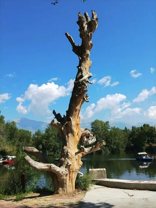 武义：温泉小城的疫情防波堤与地理屏障