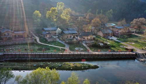 洛南：秦岭腹地的防疫坚守与零感染破防时刻