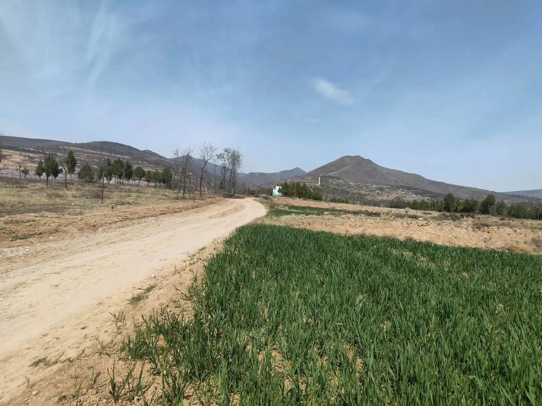 泾阳疫情透视：关中平原交通枢纽的防控压力测试