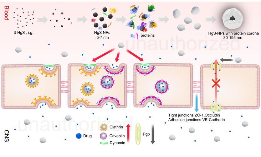 高原屏障下的零感染坚守：昂仁地理优势与防疫逻辑_44594