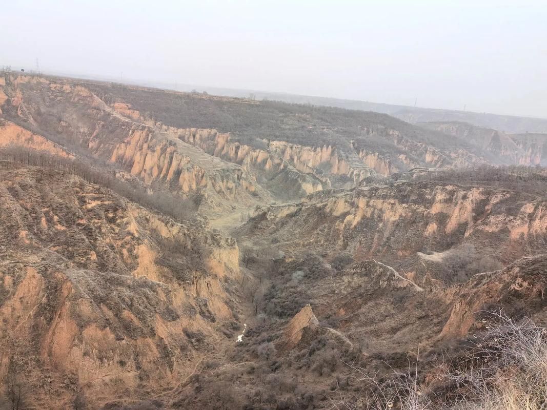 【延安老区疫情观察：黄土高原沟壑地形下的防控屏障】