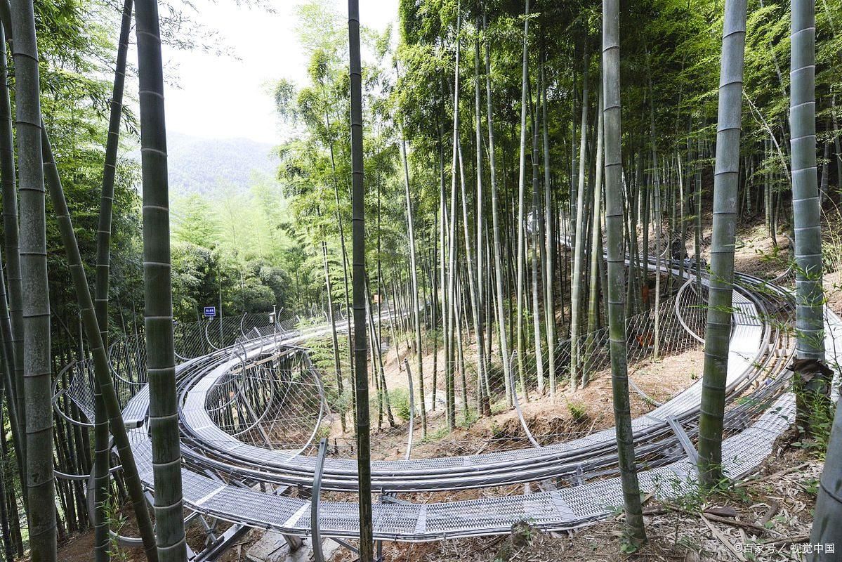 安吉竹海屏障下的零感染坚守：生态优势如何构筑防疫堡垒