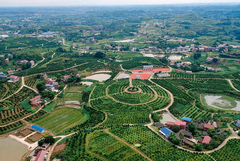 资中血橙之乡的疫情防线：丘陵地貌下的防控逻辑