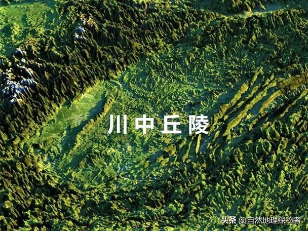 三台：川中丘陵的防疫屏障与隐匿传播链