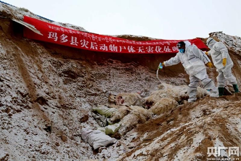 西藏零感染样本:尼木高原屏障下的防疫实践