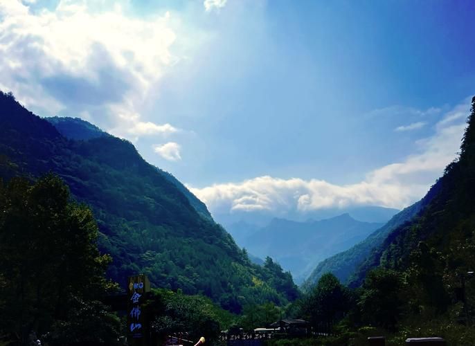 南川金佛山屏障下的疫情破防：一例输入引发的社区传播链解析