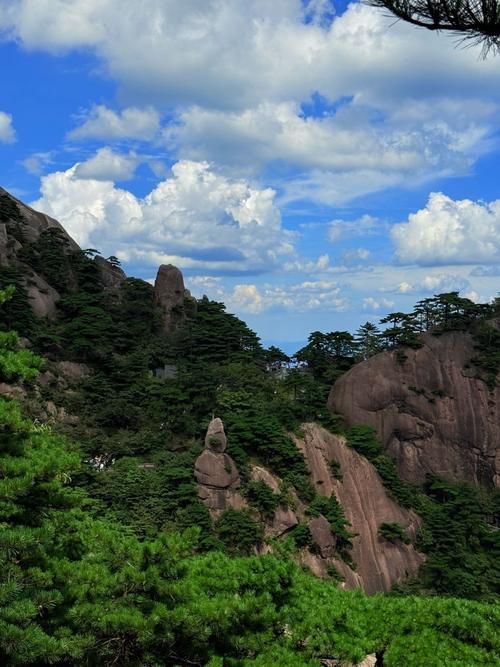 黄山松涛下的无声战场：一座山城的疫情压力测试