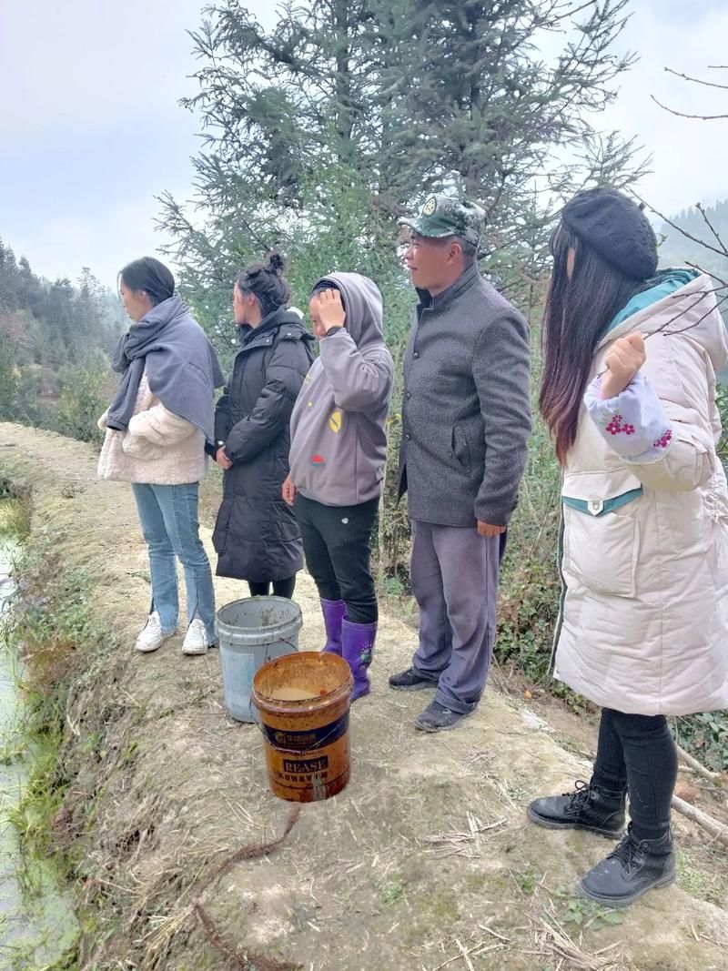 东丰县疫情观察：寒地黑土上的精准防控实践
