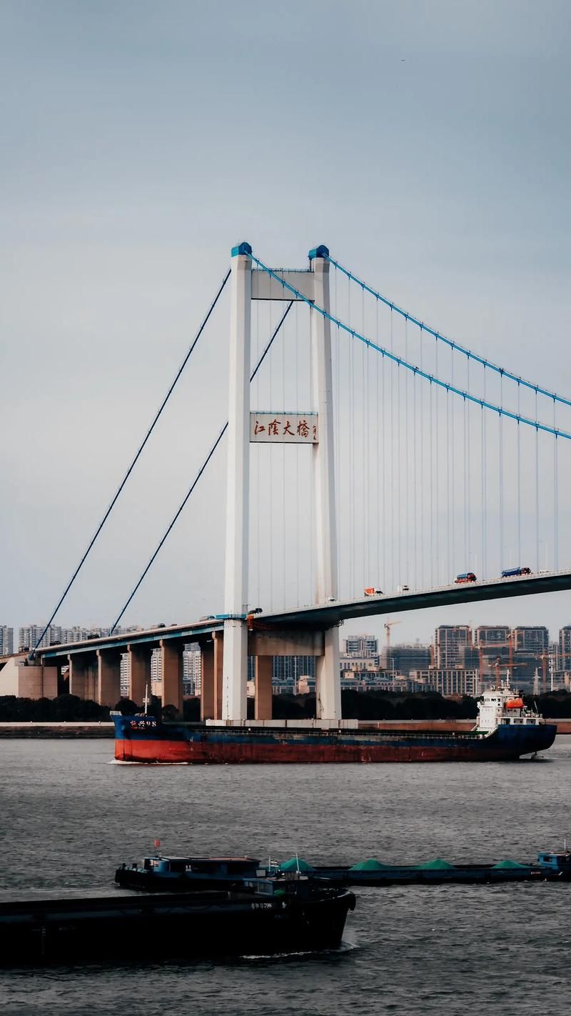 江阴：长江咽喉的防疫阵线与社区破防时刻