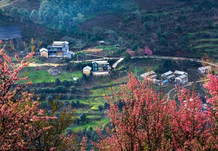 【南涧彝族自治县：无量山屏障下的零感染坚守_39819】