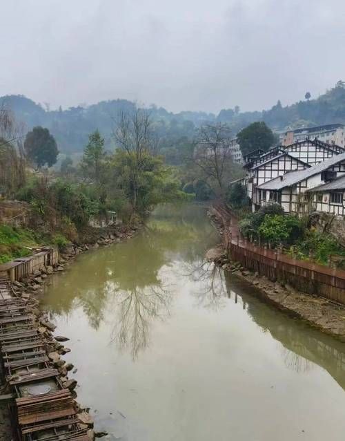 威远:川中丘陵的防疫屏障与零星破防