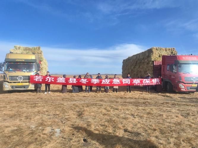 镶黄旗：草原腹地的零感染坚守与物理防线_42950