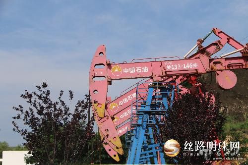 洛浦绿洲的零感染防线：塔克拉玛干边缘的防疫坚守