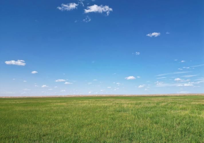 乌拉特后旗：草原屏障下的零感染逻辑