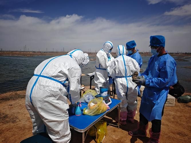 雪域屏障下的零感染坚守：谢通门县防疫地理学观察