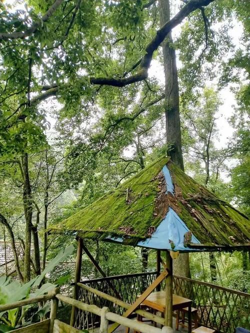 中方县疫情观察：雪峰山屏障下的防控样本_88359