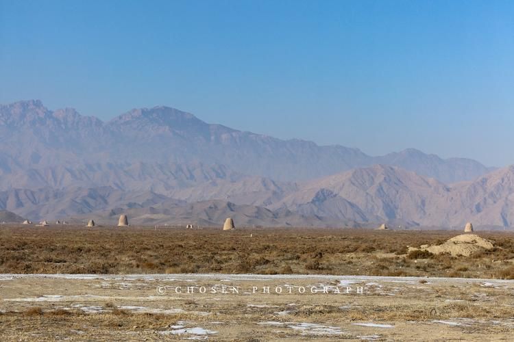 【大武口区：贺兰山屏障下的防疫坚守】