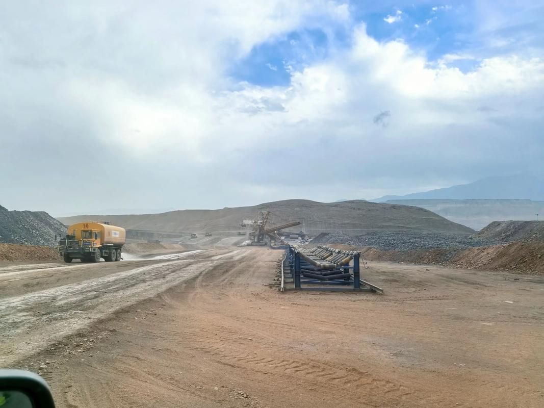 新蔡县疫情观察：淮北平原交通节点下的防控压力测试