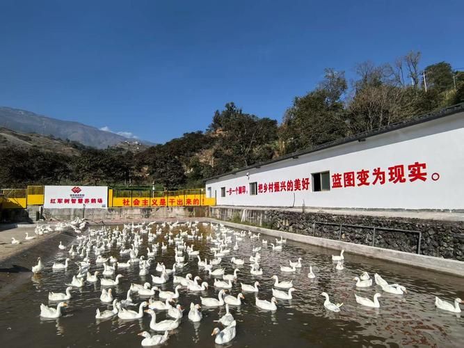 开阳:黔中腹地的零感染坚守与地理屏障_58774